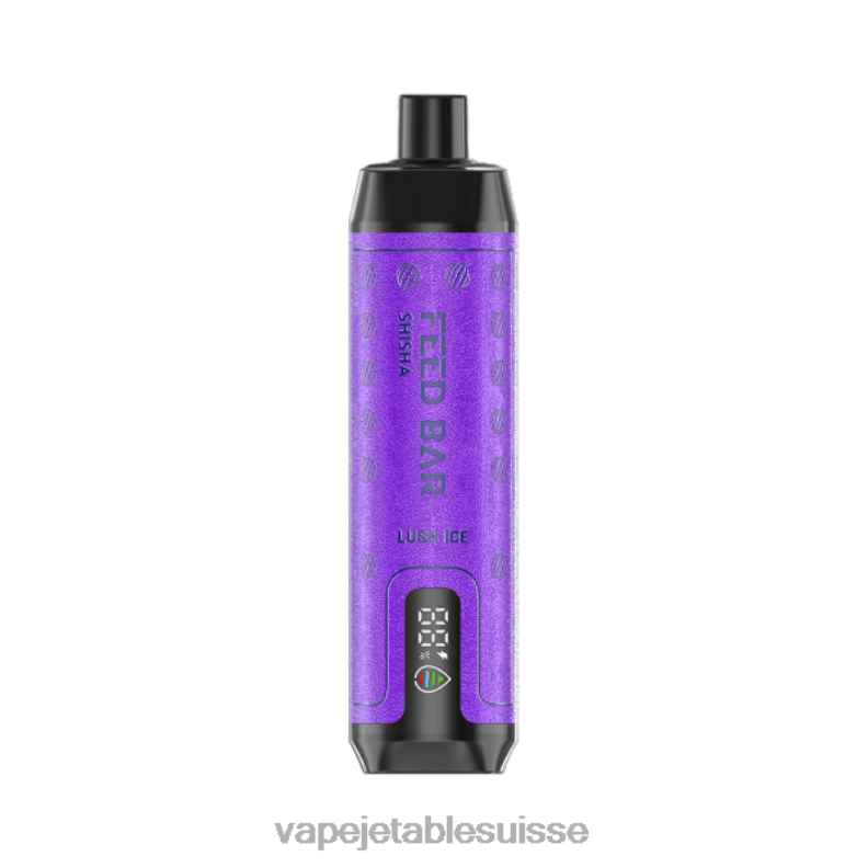 Cigarette Electronique Bulle - Vapsolo SHISHA vape jetable glace luxuriante 2RRNF120