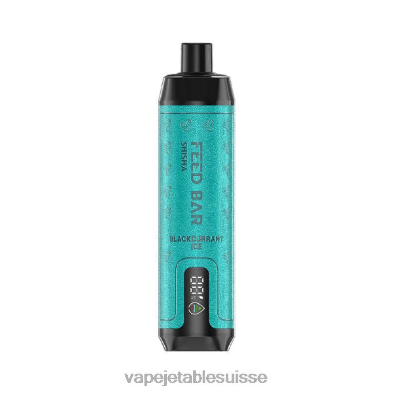 Vape Shop Geneve - Vapsolo SHISHA vape jetable glace au cassis 2RRNF114