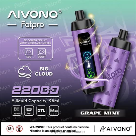 Vape Shop Geneve - menthe raisin Aivono Fatpro 22000 284082