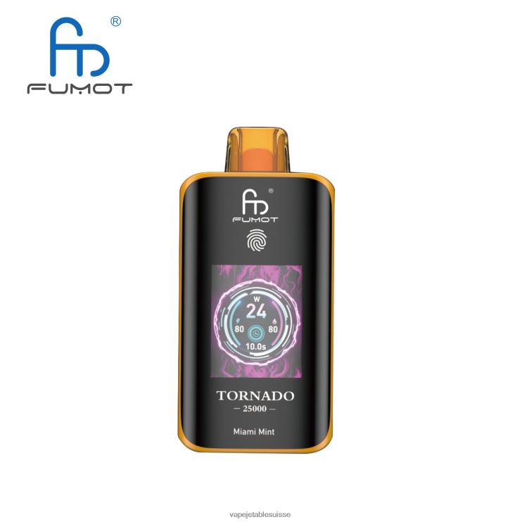 Vape Shop Geneve - menthe de Miami Fumot Tornado 25000 vapes jetables R086RP8