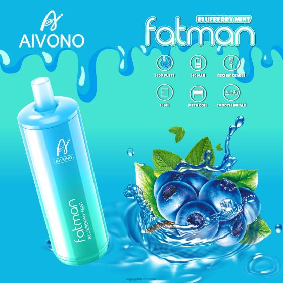 Vape Suisse - menthe myrtille Aivono FATMAN 6800 2840822