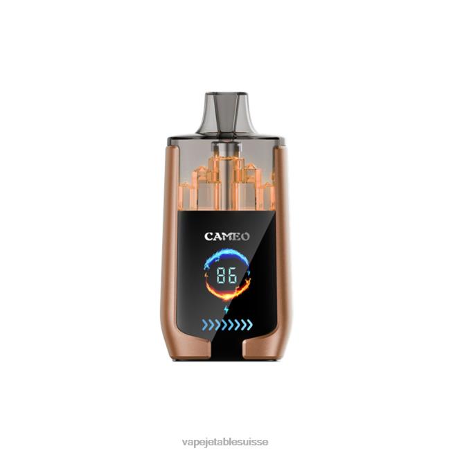 Vape Jetable Suisse - glace au café 0NJ6018 LAVIE CAMEO 30000 bouffées