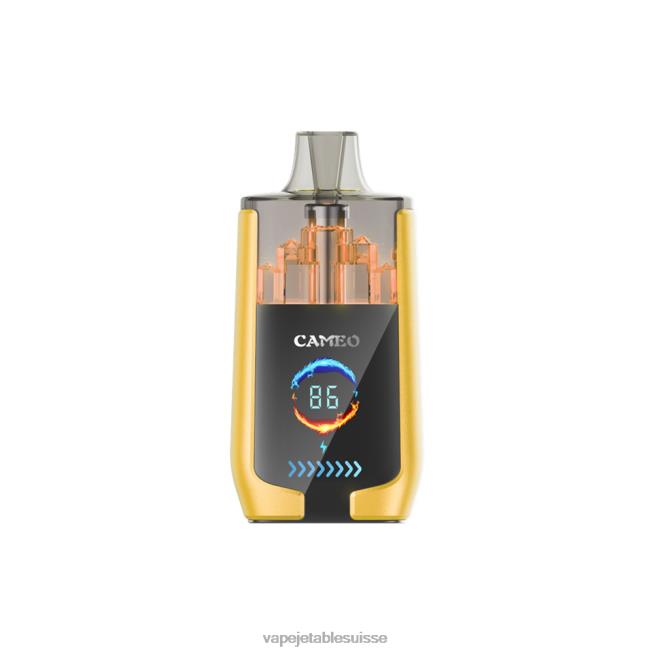 Vape Jetable Suisse - glace à la mangue 0NJ6021 LAVIE CAMEO 30000 bouffées