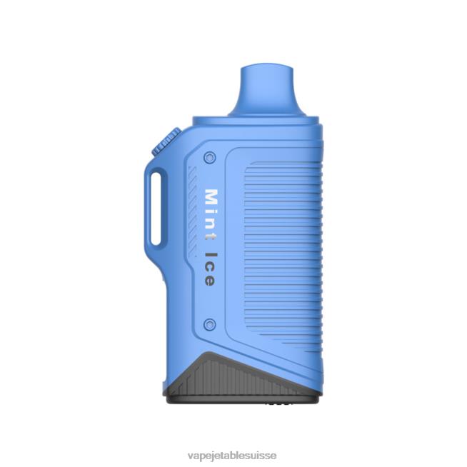 Vape Jetable Suisse - glace à la menthe 0NJ6072 LAVIE Energy Box 15000 bouffées