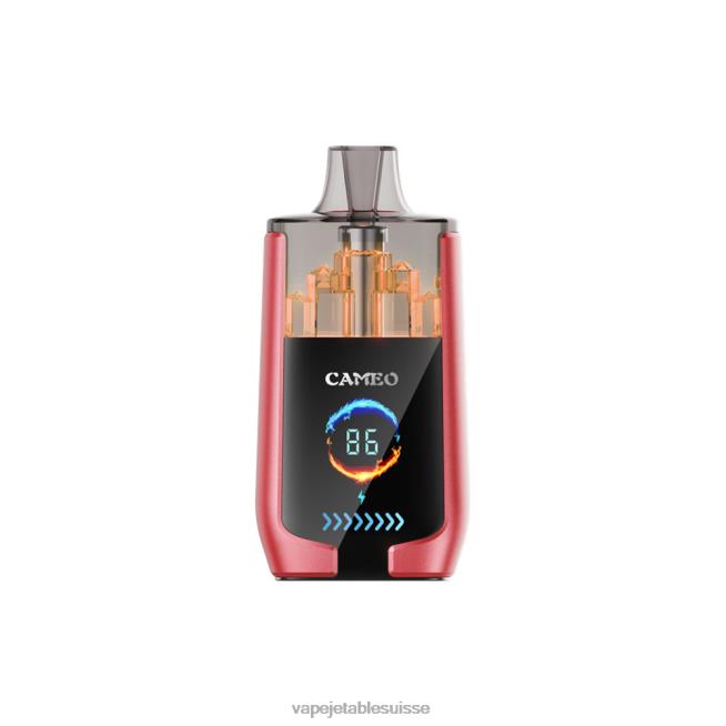 Vape Shop Geneve - glace à la pastèque 0NJ6014 LAVIE CAMEO 30000 bouffées