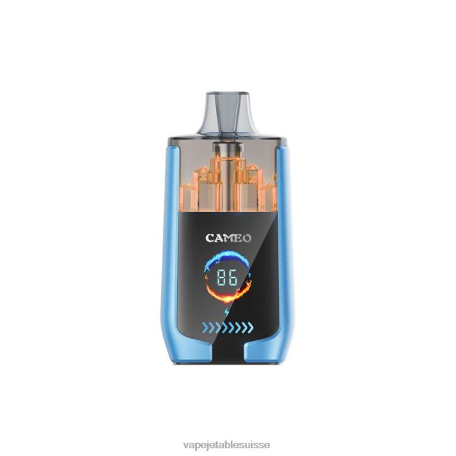 Vape Suisse - glace à la fraise 0NJ6013 LAVIE CAMEO 30000 bouffées